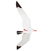 Rhombus Kite Seagull
