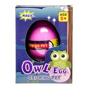 Growing Egg Owl