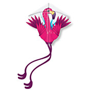 Kites Ready 2 Fly – Pop-up-Nylon-Drachen Flamingo