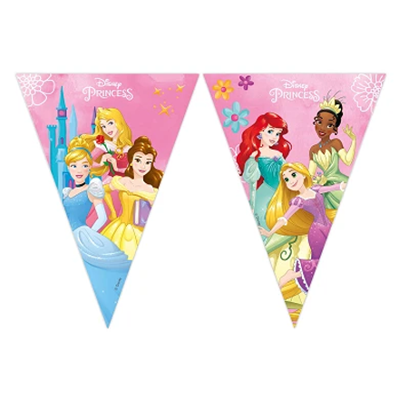 Party supplies from Disney's Princesses