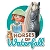 Playmobil Horses of Waterfall