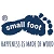 Small Foot