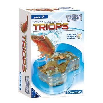 Science & Games - Growing Triops