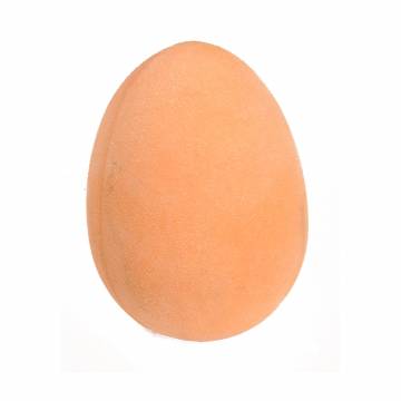 Bounce Egg