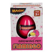 Growth Egg Flamingo