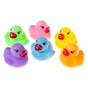 Rubber ducks Color, 24 pcs.