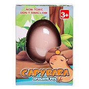 Capybara-Wachstumsei