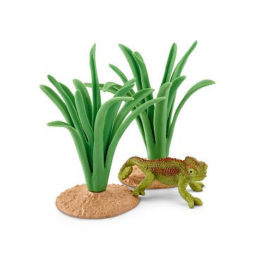 stealth chameleon in Riet