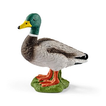 Schleich FARM WORLD Drake Duck 13824