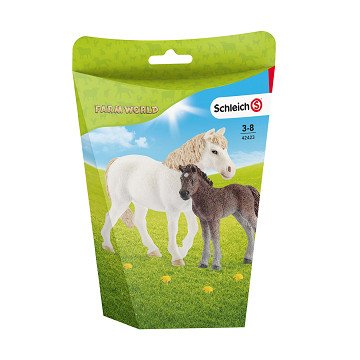 Schleich HORSE CLUB Pony and Foal 42423