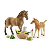 Schleich HORSE CLUB Baby-Tierpflegeset 42432