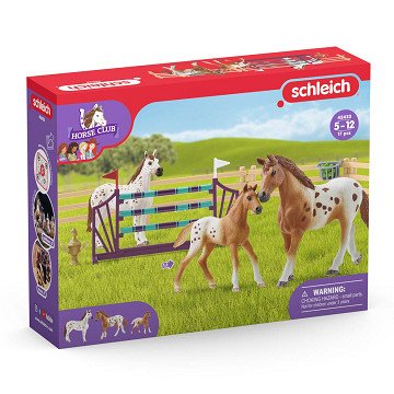 Schleich HORSE CLUB Tournament Training Set 42433