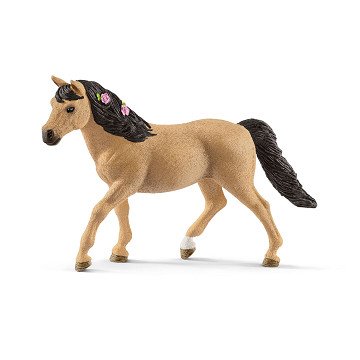 schleich HORSE CLUB Pony Connemara Female 13863