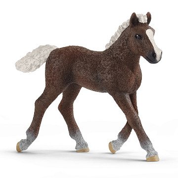 schleich HORSE CLUB Zwarte Woud Veulen 13899