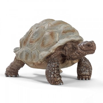 schleich WILD LIFE Giant Tortoise 14824