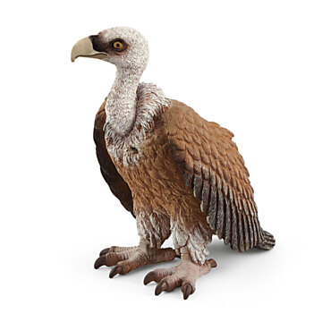 schleich WILD LIFE Vulture 14847