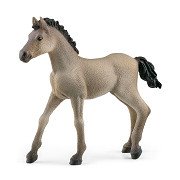 Schleich HORSE CLUB Criollo Definitivo Fohlen 13949