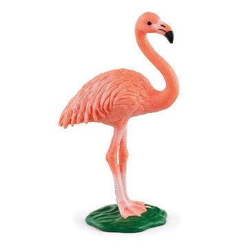 Schleich WILD LIFE Flamingo 14849