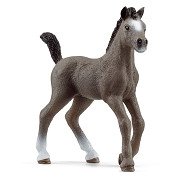 schleich HORSE CLUB Selle Francais Foal 13957