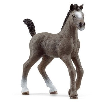 Schleich HORSE CLUB Selle Francais Fohlen 13957