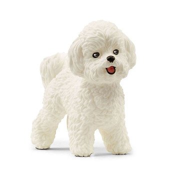 schleich FARM WORLD Bichon Frize 13963