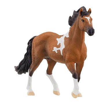 schleich HORSE CLUB Mangalarga Marchador Hengst 13978