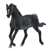 Schleich HORSE CLUB Arabian Engst 13981