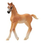schleich HORSE CLUB Arabian Foal 13984
