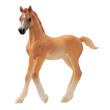 Schleich HORSE CLUB Arabisches Fohlen 13984