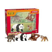 schleich WILD LIFE Asia Starter Set 42736