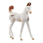 schleich HORSE CLUB Marwari Veulen 14896