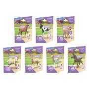 Schleich Horse Club Collectible Display 70680 (21 pieces)