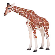 Mojo Wildlife Giraffe Female - 381033