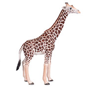 Mojo Wildlife Giraffe männlich – 381008