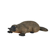Mojo Wildlife Platypus - 387106