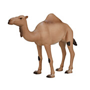 Mojo Wildlife Arabische Kameel - 387113