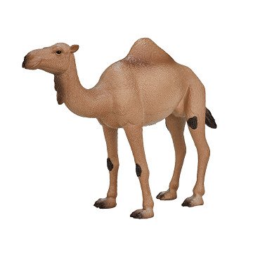 Mojo Wildlife Arabian Camel - 387113