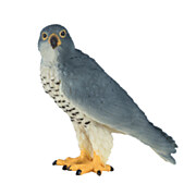 Mojo Wildlife Peregrine Falcon - 381056