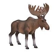 Mojo Wildlife European Elk - 387023