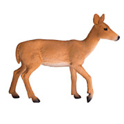 Mojo Wildlife White Tailed Deer - 387185