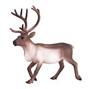 Mojo Wildlife Reindeer - 387186