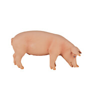 Mojo Farmland Pig Boar - 387080