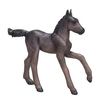 Mojo Horse World Araberfohlen Schwarz - 381015