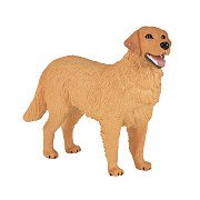 Mojo Farmland Golden Retriever – 387198