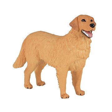 Mojo Farmland Golden Retriever – 387198