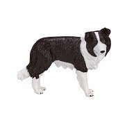 Mojo Farmland Border Collie – 387203