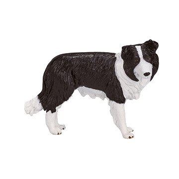 Mojo Farmland Border Collie – 387203