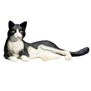 Mojo Farmland Lying Cat Black/White - 387367