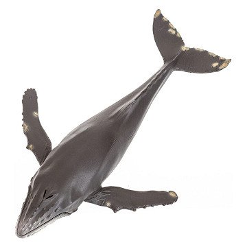 Mojo Sealife Humpback Whale Large 387277