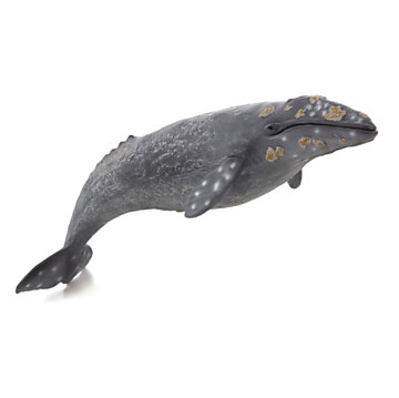 Mojo Sealife - Gray Whale 387280